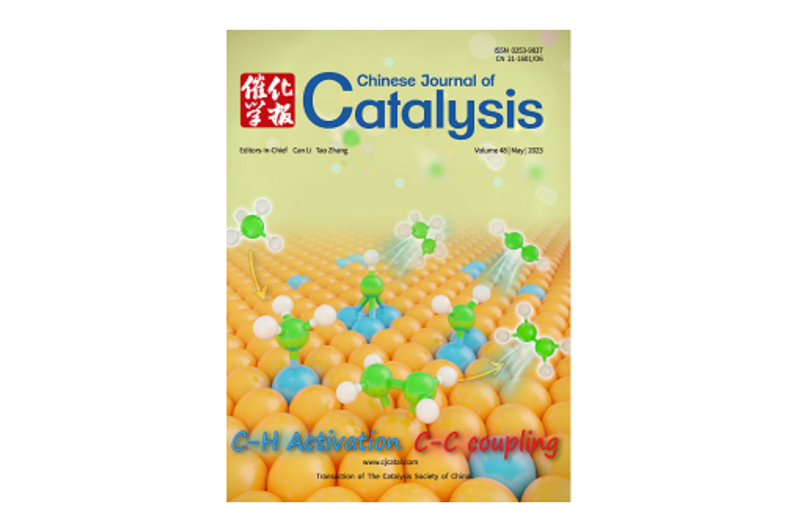 Chinese Journal Of Natural Medicines Publication Fee